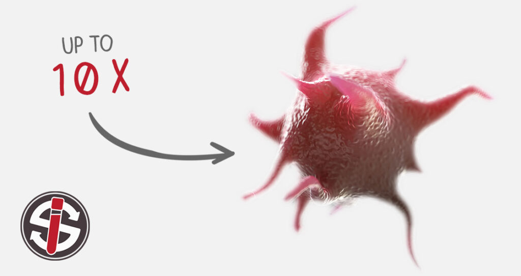 platelet rich fibrin